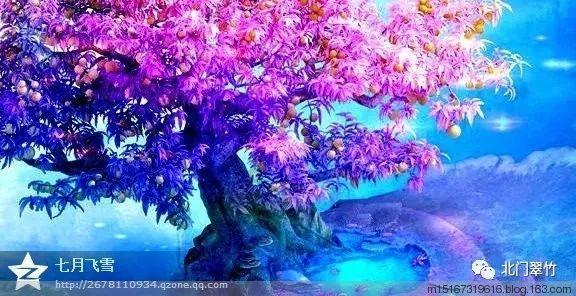 寻找遗失的珠宝盒